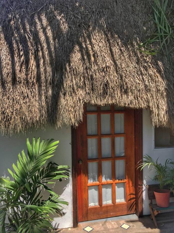 Palapa Chili # Villa Sayulita Kültér fotó