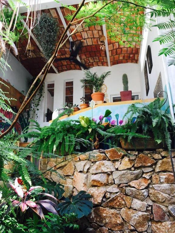 Palapa Chili # Villa Sayulita Kültér fotó