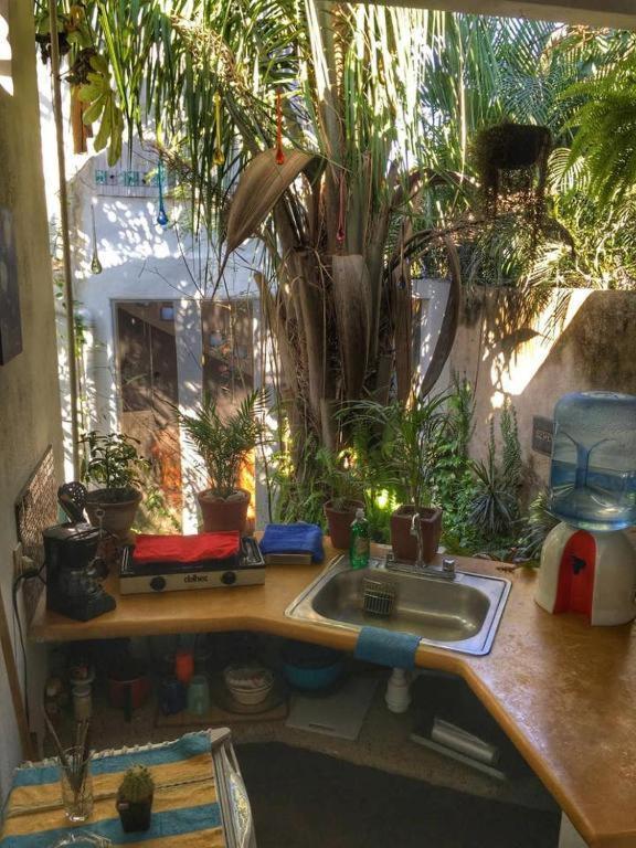 Palapa Chili # Villa Sayulita Kültér fotó