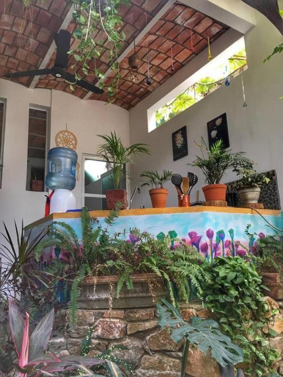 Palapa Chili # Villa Sayulita Kültér fotó