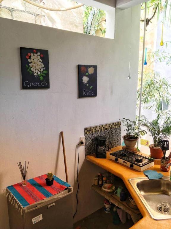 Palapa Chili # Villa Sayulita Kültér fotó